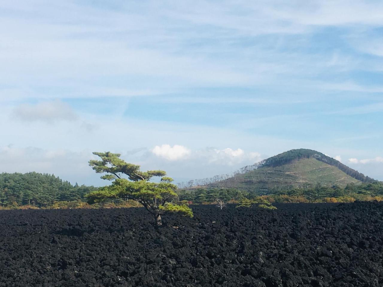 温泉ゲストハウス やすもり 本館 Hachimantai  Exteriér fotografie
