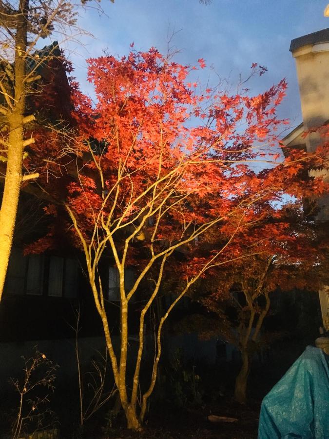 温泉ゲストハウス やすもり 本館 Hachimantai  Exteriér fotografie